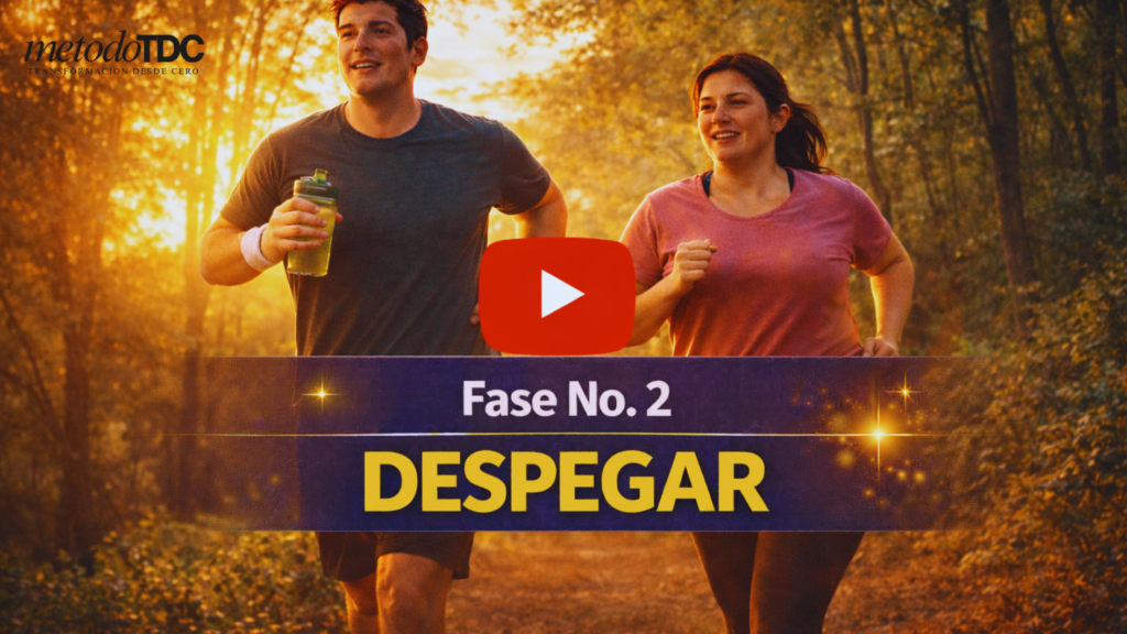 fase no. 2 despegar